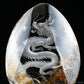 Awesome Colorful Gardenquartz Dragon Sculpture Crystal Healing Hand Carved