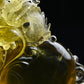 6.14'' Stunning Brazil Rutilated Citrine Dragon Sculpture Crystal Healing Hand Carved Super Realistic