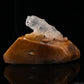 Golden Rabbit Fur Rutile,Rutilated PiXiu Sculpture Crystal Healing Hand Carved