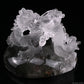 5'' Gardenquartz,Lodalite Water Dragon Sculpture Hand Carved Super Realistic