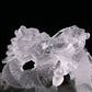 5'' Gardenquartz,Lodalite Water Dragon Sculpture Hand Carved Super Realistic