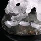 5'' Gardenquartz,Lodalite Water Dragon Sculpture Hand Carved Super Realistic