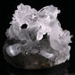 5'' Gardenquartz,Lodalite Water Dragon Sculpture Hand Carved Super Realistic
